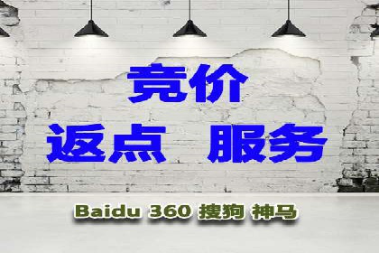 某公司网站sem托管项目纪实