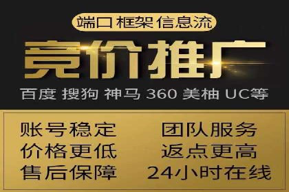 搜索引擎营销（SEM）成功案例详解