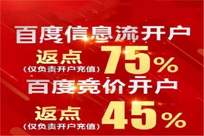 百度推广的成功案例：从零到一的突破